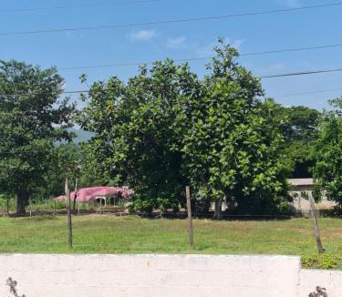 Linstead Apartment | Linstead AirB&B Crescent Avenue