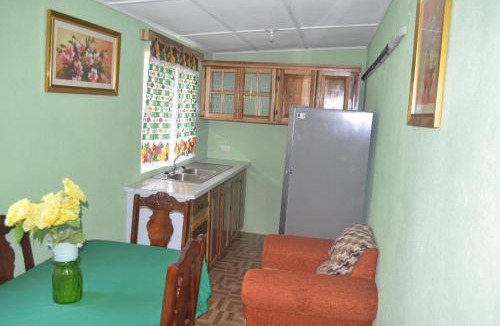 Ocho Rios Apartment | Little Shaw Park Guest House