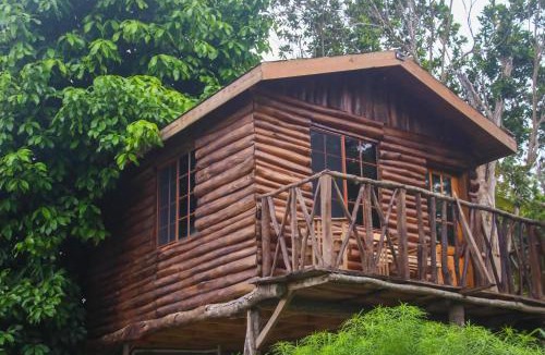 St. Ann's Bay House | Log 33