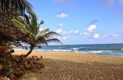 Cabarete Hotel | Natura Cabana Boutique Hotel & SPA