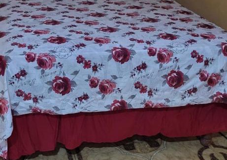 Penlyne Castle Bed & Breakfast | O-t on the rise
