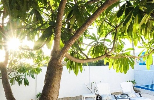 Pos Chiquito Apartment | Ocean Front Property - Villa 3 Aruba with Hot Tub