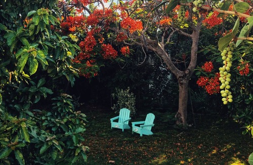 Spanish Wells Cottage | Palm Cottage: 3 Bedroom, 1.5 Bath Historic Cottage, 2 min walk from beach!