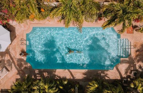 Soledad Apartment | Paradera Park Aruba
