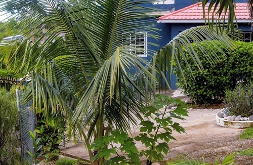Ocho Rios Apartment | Paradise Stay #3 Beautiful 1-bedroom apartment with AC in charming Ocho Rios