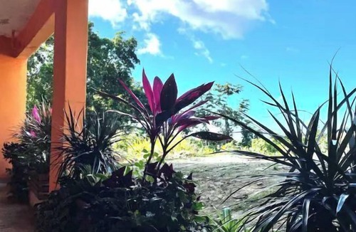 Guzman Arriba Apartment | Rainforest Retreat between mountains and sea