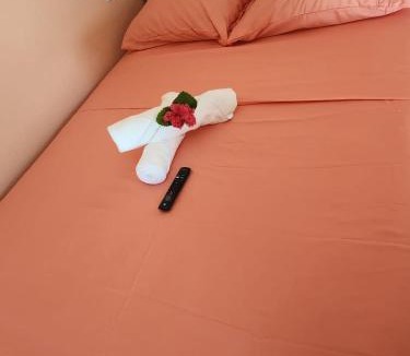 Vieux Fort Quarter House | Rose Hideaway