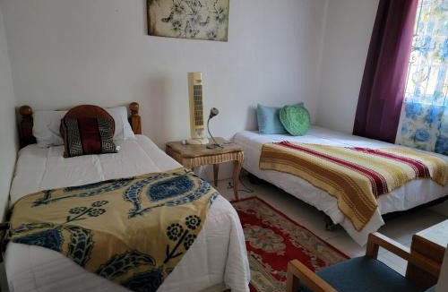 Salt Gut House | Ruby's Place