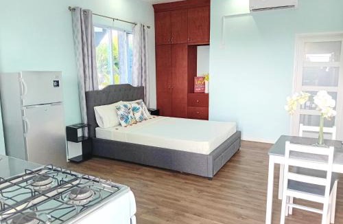 Anse La Raye Apartment | Serenity Seaview Suite