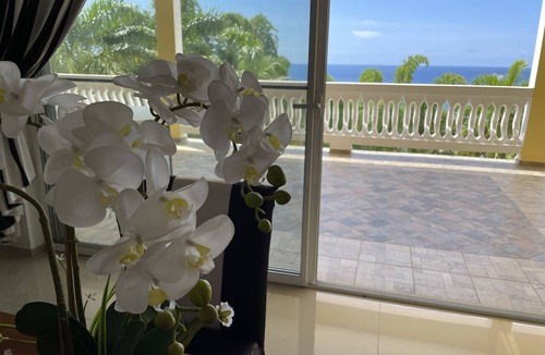 Reading Apartment | Spring Garden Mobay Resort