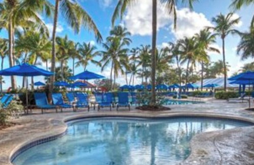 Rio Grande Apartment | Studio Suite, Ocean View, at Margaritaville Rio Mar Resort, Puerto Rico!
