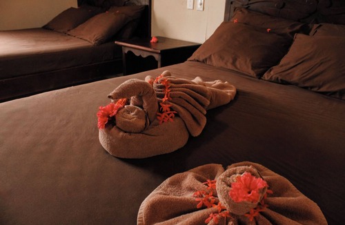 Caye Caulker Hotel | Tropical Paradise Hotel