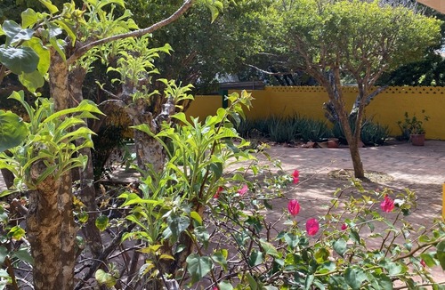 Sero Colorado Villa | VILLA BON SIMAN ARUBA A Private Villa at Lago Heights San Nicolaas Aruba.