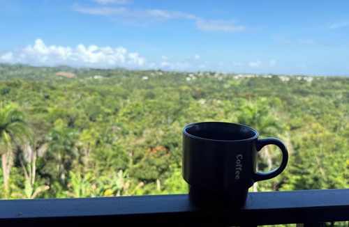 Guzman Abajo House | Villa Coquí Luxury Rainforest Retreat Near El Yunque, Game Room & Mountain Views