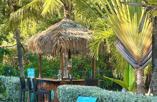 Leeward Settlement Villa | You Know you want to be Here!/Sleeps 6/Private Pool and Fun Tiki Bar!