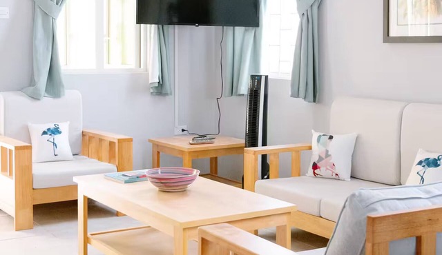Ackee- 2-bedroom apartment in lovely Bridgetown
