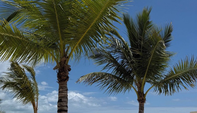 Antigua 304 Luxury Beachfront Penthouse with Rooftop Jacuzzi Aqua Esmeralda