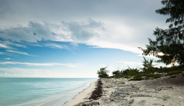 Awe-Inspiring Beachfront Villas & Breathtaking Views On Long Bay Beach