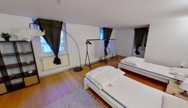 Basic Stay with Full Kitchen near Zurich in Dietikon