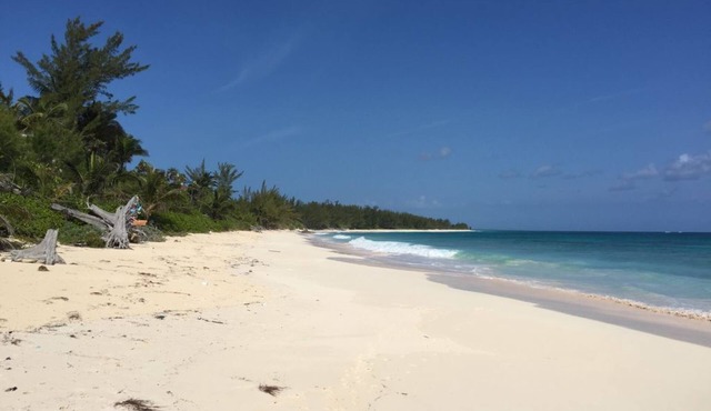 Beachfront Cottage with 50 Mile Ocean View and Pool Access