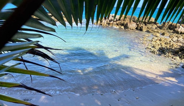 Beachfront home near Dunns River Falls