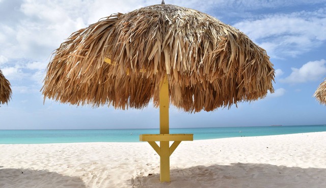 Best week in Aruba, Executive one bedroom, week 44