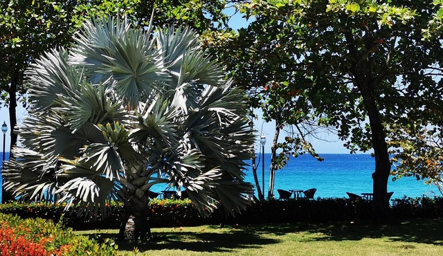 Breathtaking Beachfront Condo with Ocean Views Free Weekly Maid Service