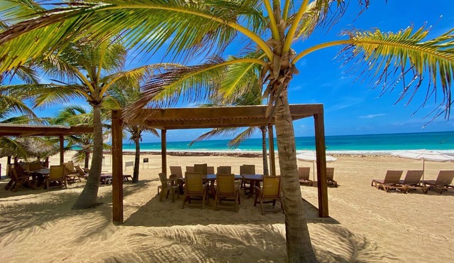 Cana Rock Star condo, Beach, Jacuzzi, pool, casino & golf, Hard Rock PC area.