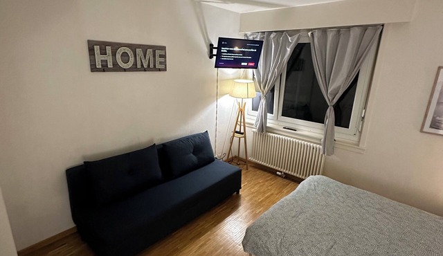 Central and comfortable apartment for two or three people in Lausanne