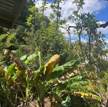 CJ's Creole Hideaway