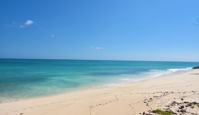 Cookie On The Rocks - Private Beachfront Retreat at Elbow Cay's North End