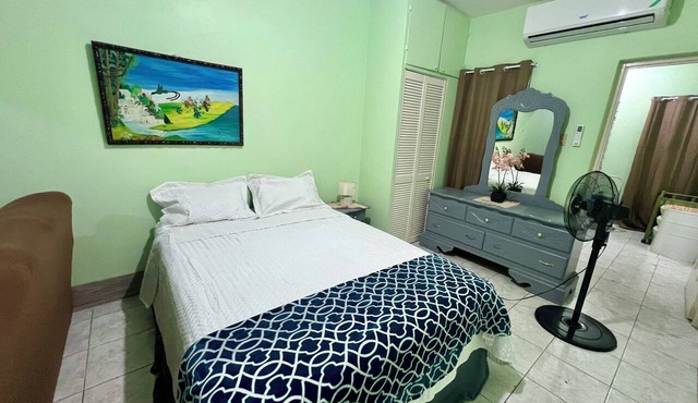 Cozy 1-bedroom apartment in welcoming Kingston with AC