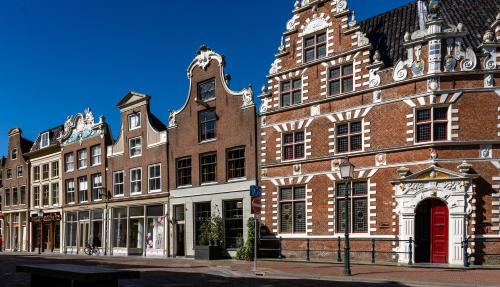 De Ginkgo in het hart van Hoorn in Hoorn
