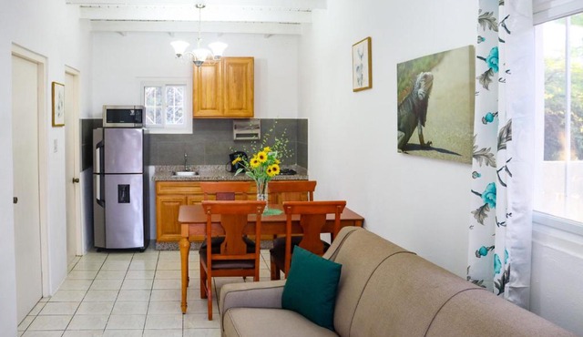Embrace Aruba Vacation Rentals