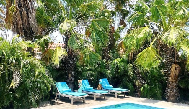 Endless Summer - Stunning 3-bedroom Vacation Villa located in Noord.