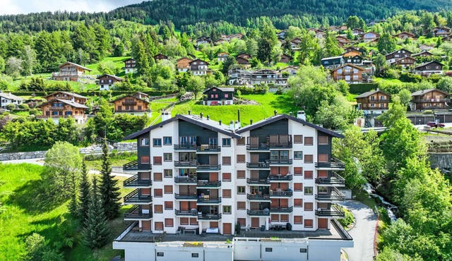 Foret E3 by Interhome in Nendaz