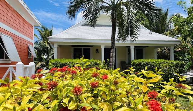 🇧🇸 GEAUX FISH Spanish Wells Sea Swings kayak beach snorkel gear! FREE GIFT 🏝️🩵💛🖤🇧🇸