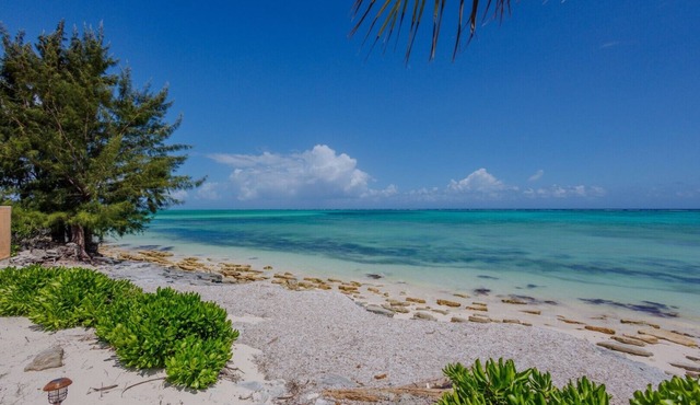Golden Pelican – Ocean Front Lower Level Suite on North Caicos