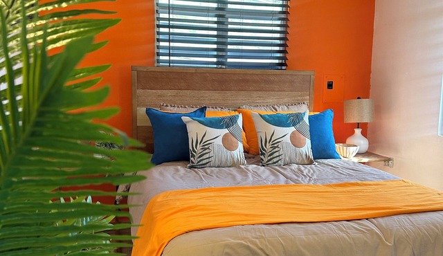 La Casita -Arecibo's Hidden Gem