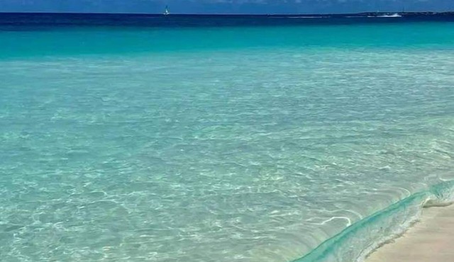Love and Peace Vacation Rental Aruba