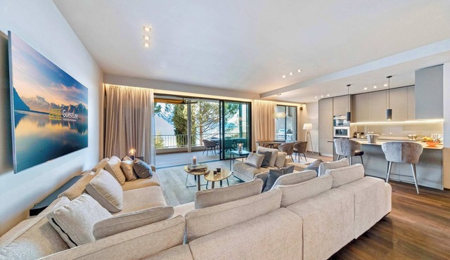 Luxury Lakefront Loft in Montreux Swiss Reviera in Territet