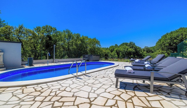 Mediterranean villa with 5 bedrooms, pool and large outdoor area in Tribalj