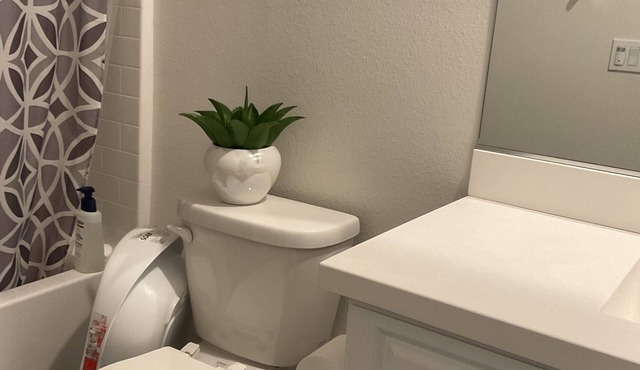 Modern Luxury Home in the heart of San Diego/5 mins to Sesame Theme Water Park in Chula Vista
