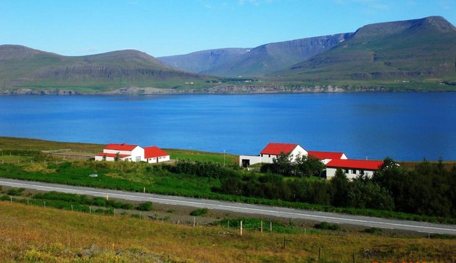 Námshestar in Kuludalsa