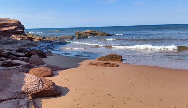 North Shore Ocean View Cottage- Access To Private Beach For Cottagers! in Park Corner