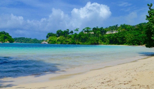 Ocean View Stay at Serene Haven near Port Antonio