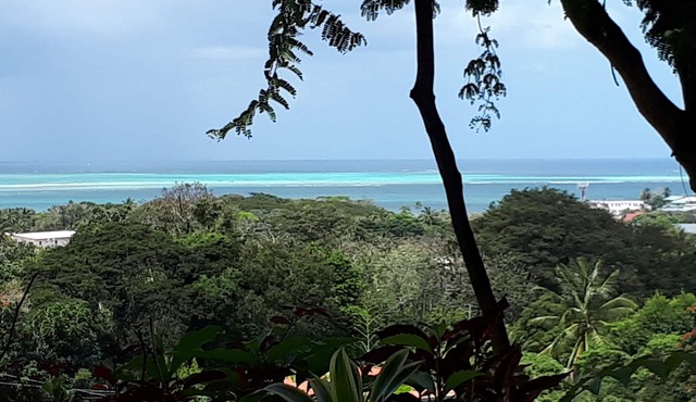 Palm Tree Apartment, Sea view, Close to beaches, Ideal for families Full kitchen