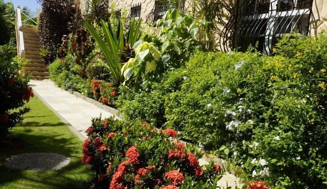 "Pride of Courland" Beachfront Apartments With Pool By The Caribbean Sea - Ap. Mot Mot