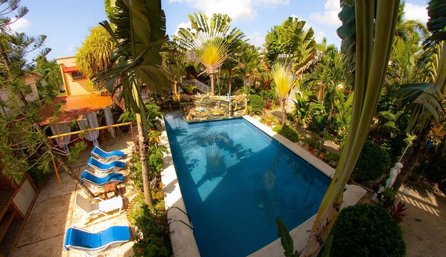 Residence Tropical Garden - Cozy Apartment Couples (16)