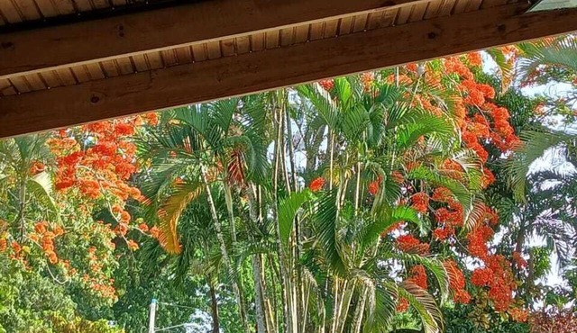 Spacious 6-bedroom villa in Tranquil Monseñor Nouel with AC